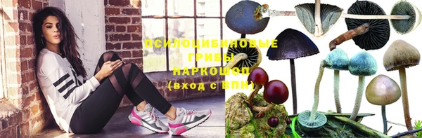 герыч Алексеевка