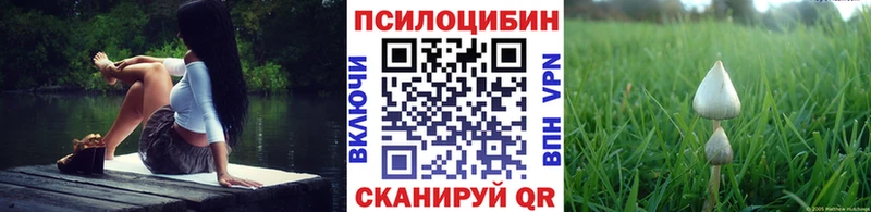 где купить   Урюпинск  Галлюциногенные грибы мицелий 